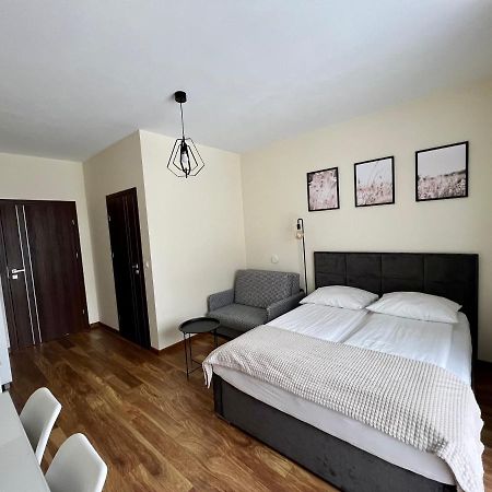 Willa Wojcik Apartamenty I Pokoje Sromowce Nizne Exterior photo